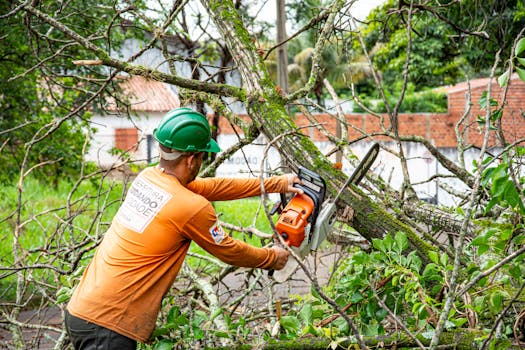 urban garden maintenance