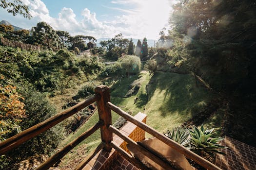 balcony vegetable garden