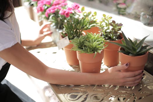 Indoor garden arrangement for better growth