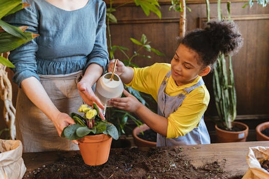 Watering schedule for indoor plants