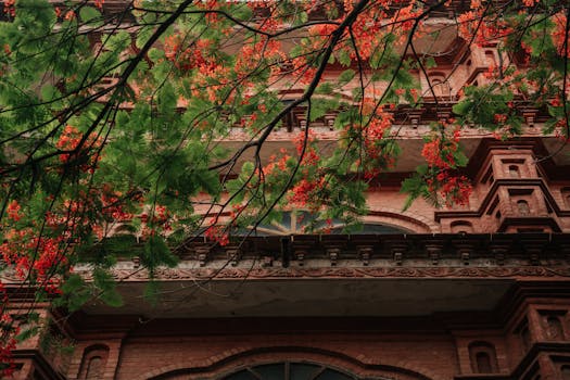 urban balcony garden full of flowers