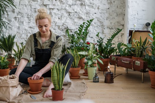 Various herbs and plants in pots on a windowsill